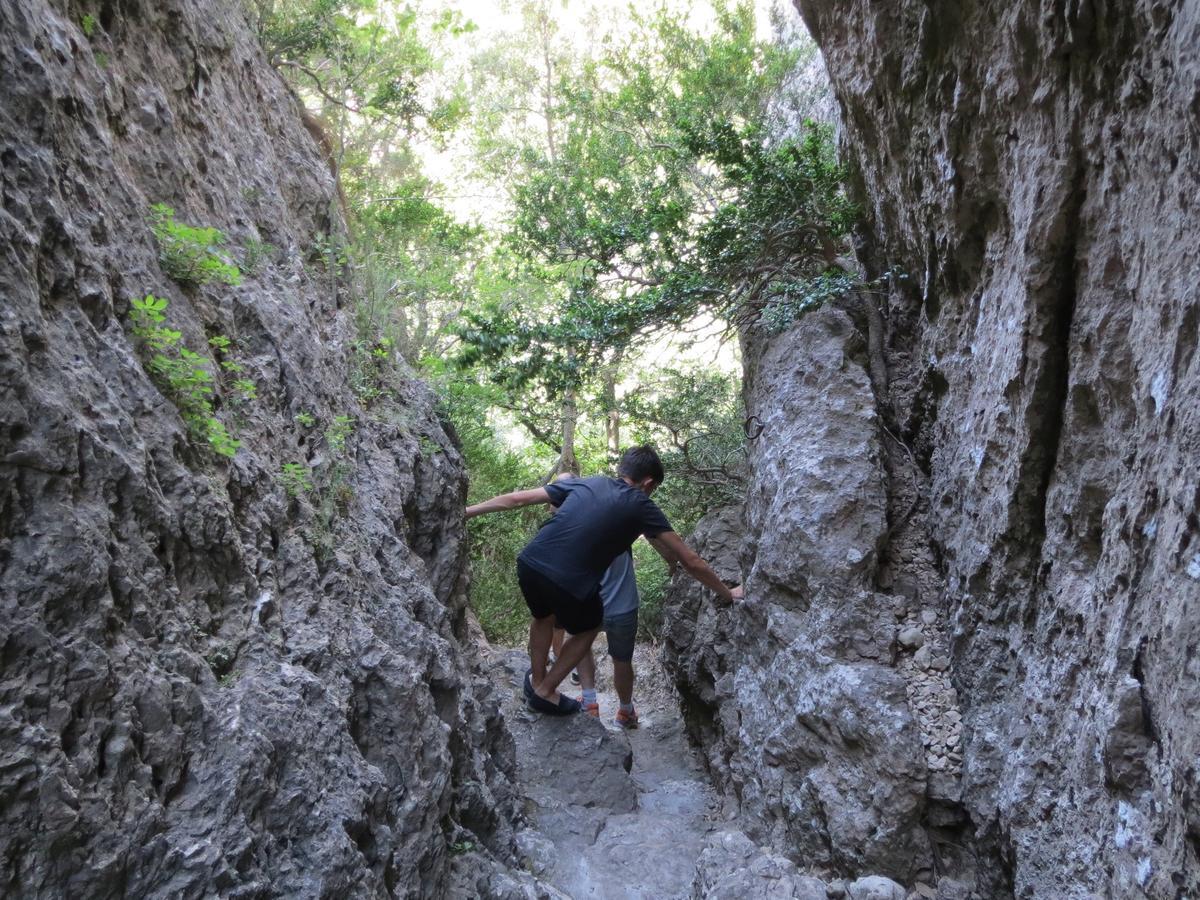 Les Hauts D'Issensac Causse-de-la-Selle Eksteriør bilde