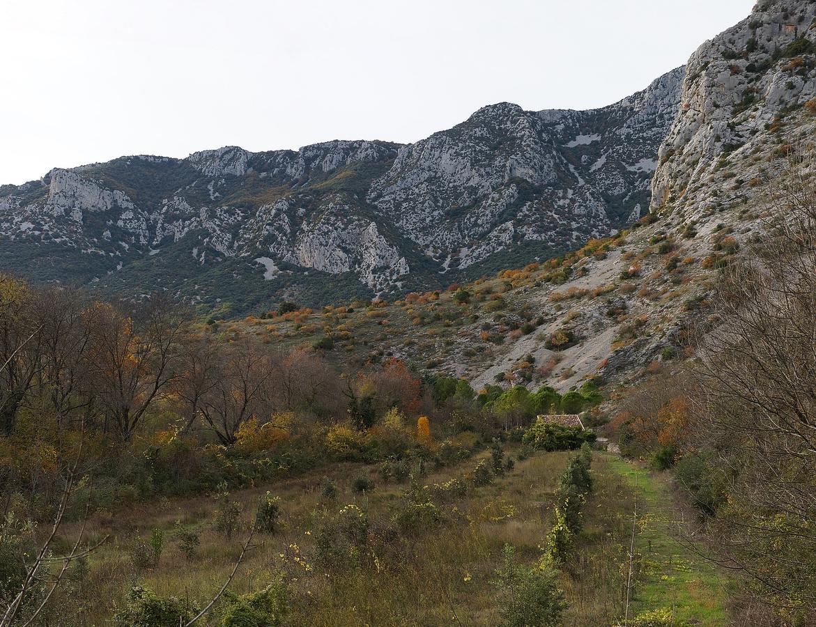 Les Hauts D'Issensac Causse-de-la-Selle Eksteriør bilde